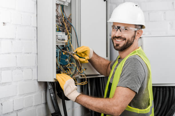 Best Electric Panel Repair  in Red Wing, MN